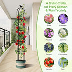 2026 Updated Garden Obelisk Trellis - Image 5