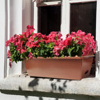 QPEY Window Box Planter, 10 Pack 17 Inch Plastic Flower Box - Image 6