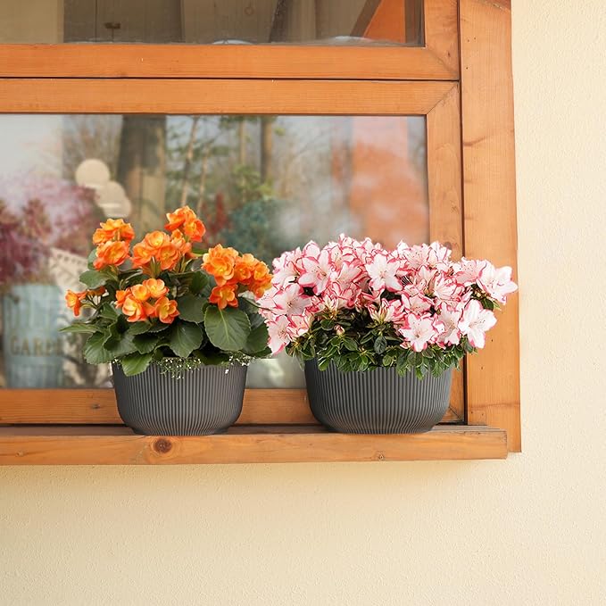 T4U 10 Inch Self Watering Pots for Indoor Plants, Plastic Plant Pots - Image 5