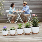 montresor 5-Pack Self-Watering Planters - Image 9