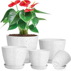 5 Pcs Plant pots, 7.5/6.5/5.7/4.9/4.1 inch Pots by LOKEISNA