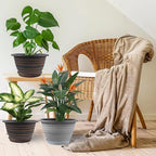 Large-Planter-Indoor-Outdoor Plant Pots, 12 inch 3 Pack Plastic Flower Pots - Image 5