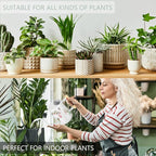 Watering Can Indoor Plants, 35oz Small Stainless Steel Metal Watering Can - Image 5