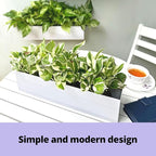 LaLaGreen Wall Planter Carbon Steel White Metal Hanging Flower Pot - Image 7