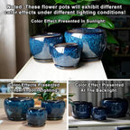SQOWL 6 Inch Plant Pot - Image 5