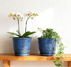 Gepege 6 Inch Ceramic Planter, Birthday - Image 5