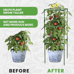 Tomato Cage Square - Image 5