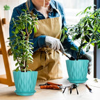 6 Pack 6 Inch Indoor Plant Pots - Image 7