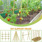 Plant Stakes, 4.8FT Longer Sturdy Natural Bamboo Garden Stakes, GAGINANG 20Pcs - Image 5