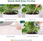 Extra-Thick Clear Glass Plant Watering Globes, Rainbow Gradient Self Watering - Image 6