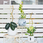 3PCS DNA Plant Trellis Indoor and Outdoor - Image 4