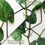 Chain Trellis for Climbing Plants - Image 5