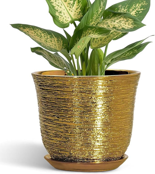 5.6 Inch Plant Pot by SUNPOTFOR