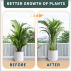 TCBWFY Plant Support Stakes for Large Heavy Plants, Interlock Garden Supports - Image 5