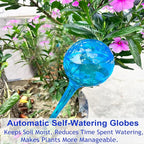 MOONSOUND Self Watering Globes for Plants - Image 6