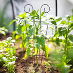 4 Pack 23'' Indoor Plant Trellis - Image 4