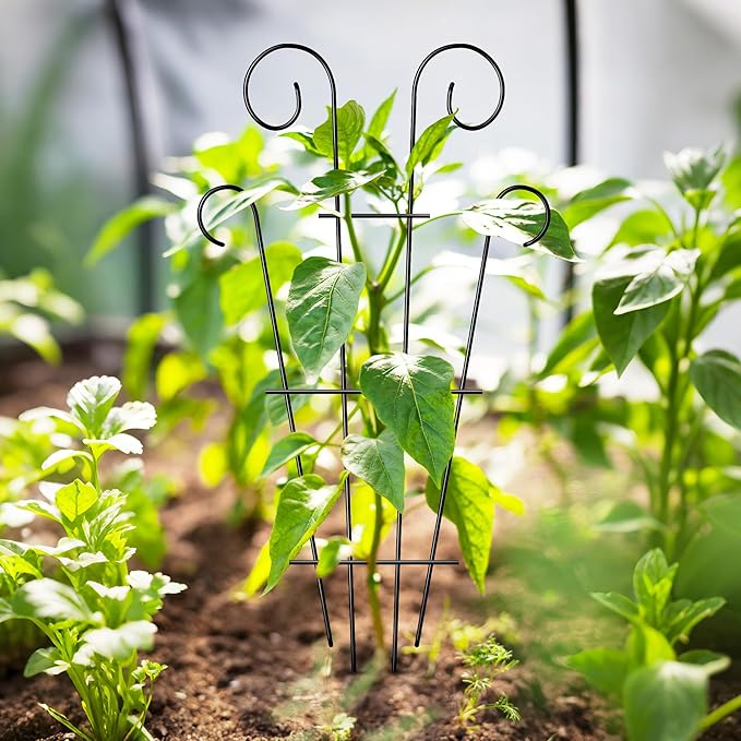 4 Pack 23'' Indoor Plant Trellis - Image 4