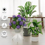 5 Pack Metal Plant Stand Indoor Outdoor Low Corner Plant Stand Heavy Duty - Image 4