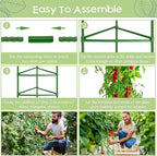 Legigo 4-Pack Tomato Cage for Garden Plant Support- Up to 63inch Garden Stakes - Image 4