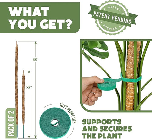2 Pack 48" and 28'' Bendable Moss Pole Monstera Plant Support - Image 2