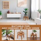 Demigo Indoor Plant Stand, Acacia Wooden Decorative Plant Shelf - Image 5