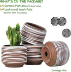 Mini Succulent Planter Set – 3.7 Inch Ceramic Pots - Image 2