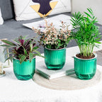 Josteve 4.5 Inch 2 Pcs Self Watering Hanging Planter Indoor Plant Pots Drainage - Image 6