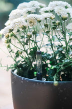 GARDENIX DECOR 7'' Self Watering planters - Image 7