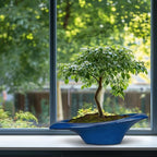 Bonsai Tree Pot 18 Inch - Image 8