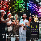 Brizled Smart Color Changing Christmas Lights, 66ft 200LED WiFi String Lights - Image 6