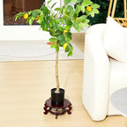 Geetery 2 Pcs 4 to 12 in Wooden Plant Stands Indoor Chinese Oriental Plant Stand - Image 5
