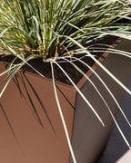 Veradek Pure Series Nobleton Plastic Planter - Image 7
