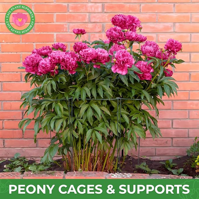 LEOBRO 24 Inch Plant Support Stakes, Peony Cages and Supports, Garden Stakes - Image 5
