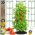K-Brands Tomato Cage by K-BRANDS