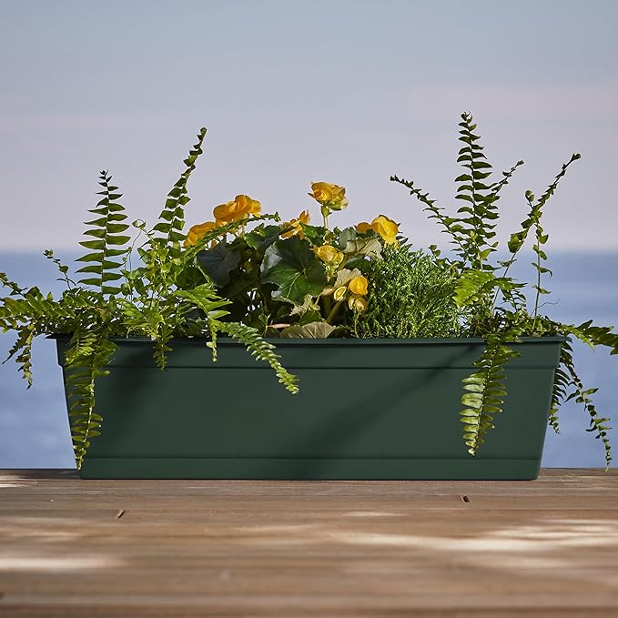 Bloem Dayton Window Box Planter: 24" - Image 6