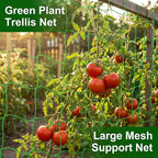 Trellis Netting For Climbing Plants - Image 7