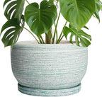 SQOWL Ceramic Pots for Plants by SQOWL