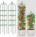 Garden Trellis for Climbing Plants Outdoor & Indoor - 6Ft Tall Rustproof Plant by MYMULIKEHOME