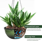 12 inch Hanging Planters for Indoor Outdoor Plants, 2 Pack Large Hanging Flower - Image 5
