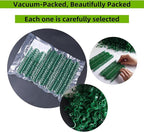 200 Pcs Plant Support Clips, Plastic Clips - Image 4