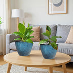2 Pack Plastic Plant Pots with Drainage Holes, 8 inch Planter - Image 5