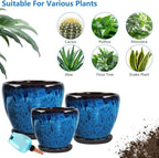Ceramic Pots for Plant with Self Watering Globes, 10 inch Planters for Indoor - Image 5
