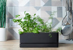 D'vine Dev 12 Inch Window Box Planter, Rectangle Plastic Herb Planter - Image 5