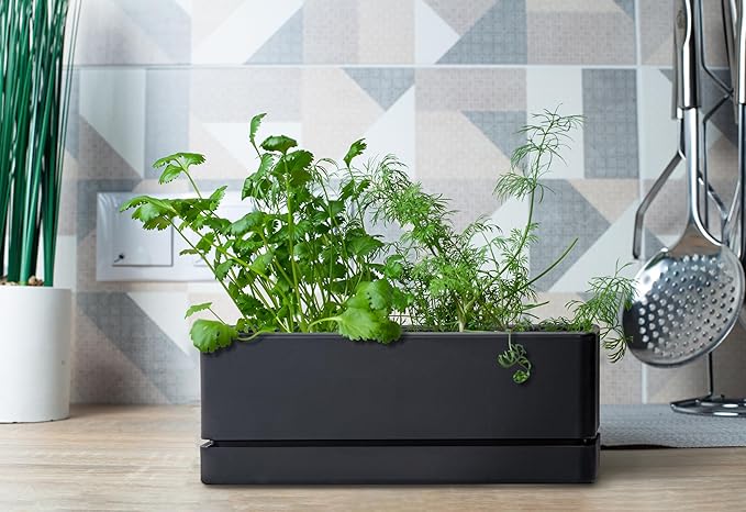 D'vine Dev 12 Inch Window Box Planter, Rectangle Plastic Herb Planter - Image 5