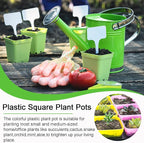 Anyumocz 42 PCS Plastic Square Plant Pots, Small Flower Pots - Image 4