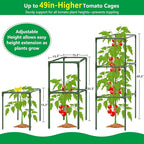 3 Pack Square Tomato Cages, Plant Support Tower Stakes Cucumber Pepper Trellis - Image 5