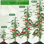 Plant Stakes 17 inch SupKing Support Stick Orchid Stakes - Image 3