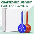 Plant Watering Globes Set of 2 - Image 7