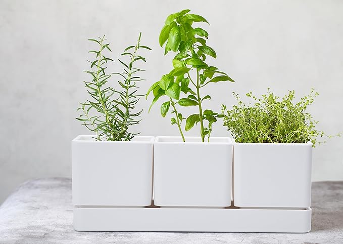 D'vine Dev Herb Garden Planter Set, Plastic Plant Pots - Image 7