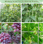 Cucumber Trellis for Raised Bed, Garden Arch Trellis for Climbing Plants Outdoor - Image 6
